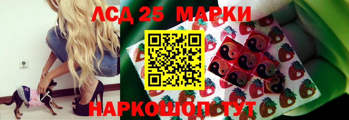ЛСД экстази ecstasy  LSD-25 экстази ecstasy  Красный Сулин  Вход с VPN 