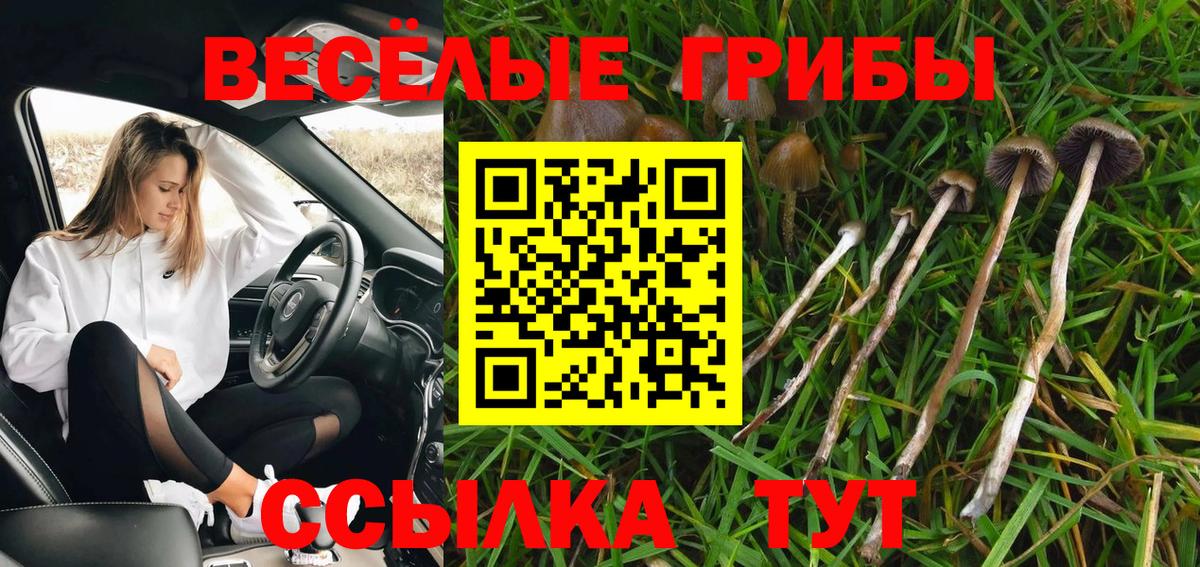 Красный Сулин  Псилоцибиновые грибы Psilocybe  Вход с VPN 